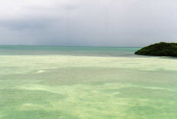 Florida_LowerKeys_June2005_PhotoBy_PSykes