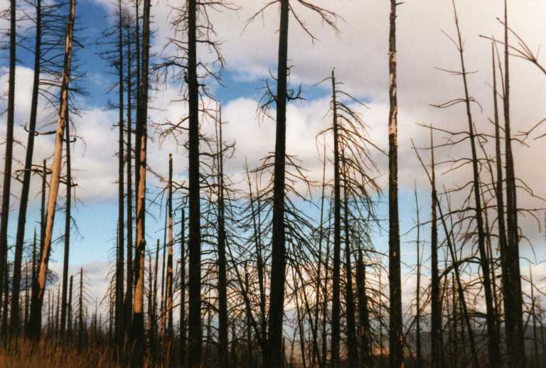 OreNEOct97PamsPix040