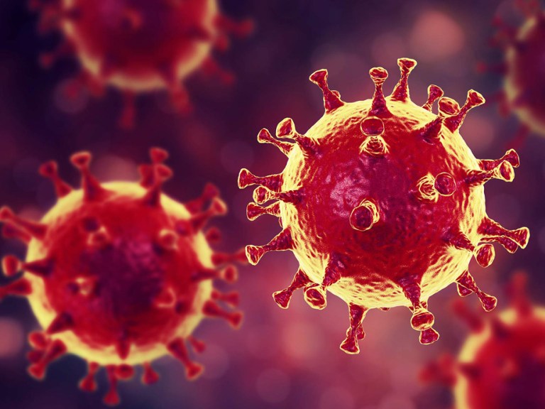MERS virus, Meadle-East Respiratory Syndrome coronovirus